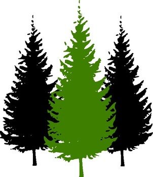 Pine Tree Clip Art N35