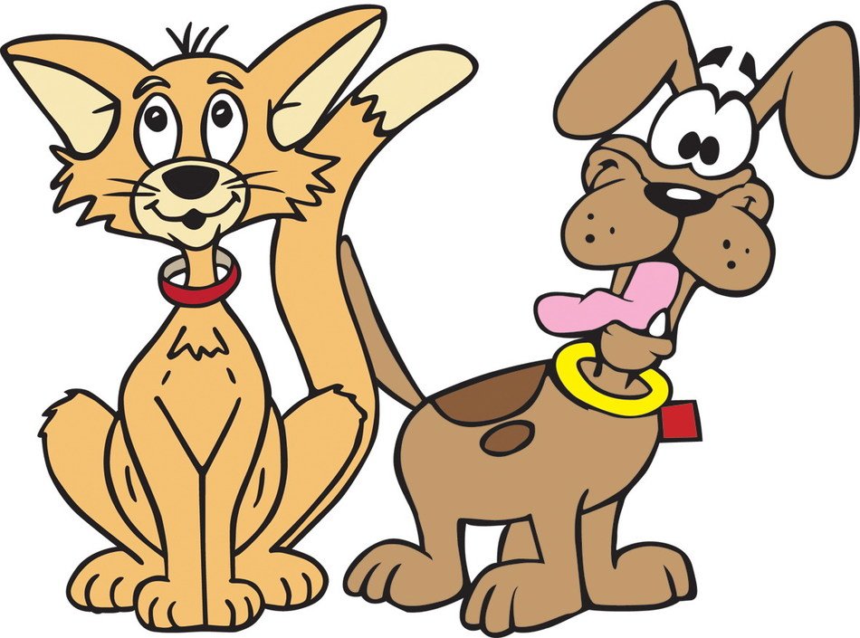 drawings of a cat with a dog on a white background
