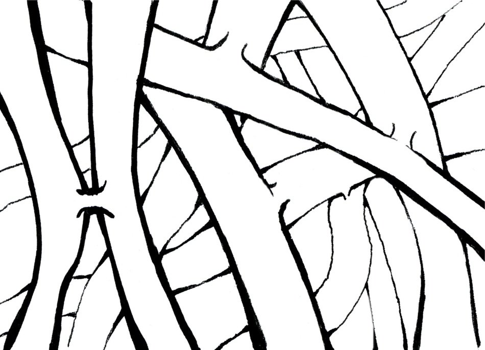 Brain Sketch drawing