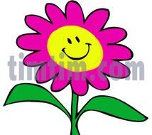Smiley Face With Flower