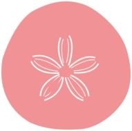Sand Dollar Clip Art N9