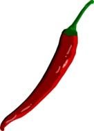red hot pepper on a white background