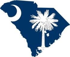 part of the South Carolina flag