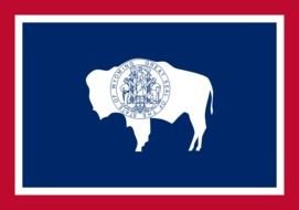 Wyoming State Flag as a illustration