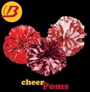 Cheerleading Pom Poms DIY