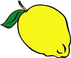 yellow fruit as an illustration