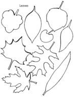Printable Leaf Pattern Template