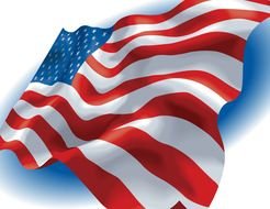American Flag Vector drawing