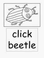 Click Beetle as a graphic illustration