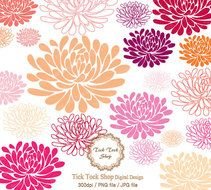 Chrysanthemum Clip Art N5