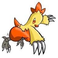 Combusken, Fire/Fighting-type PokÃ©mon introduced in Generation III