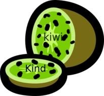 Kiwi Clip Art N5