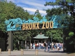 Picture of Bronx Zoo in New York