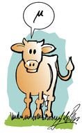 Funny Animated Cows drawing