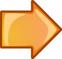 Orange Arrow Clip Art N2