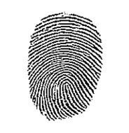 Fingerprint Art