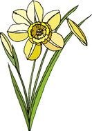 yellow Flower Clip Art drawing