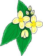 yellow Flowers Clip Art drawing