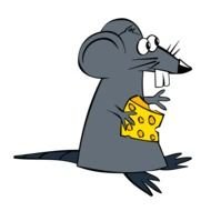 funny mouse with cheese