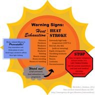 Heat Exhaustion And Stroke