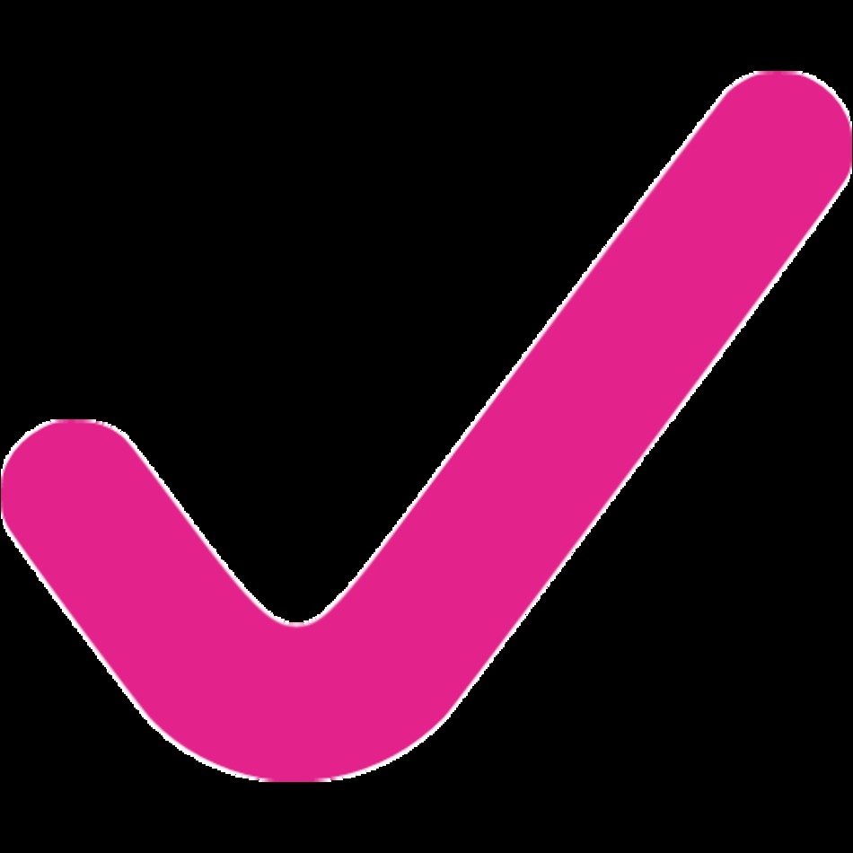Check Mark Icon N3