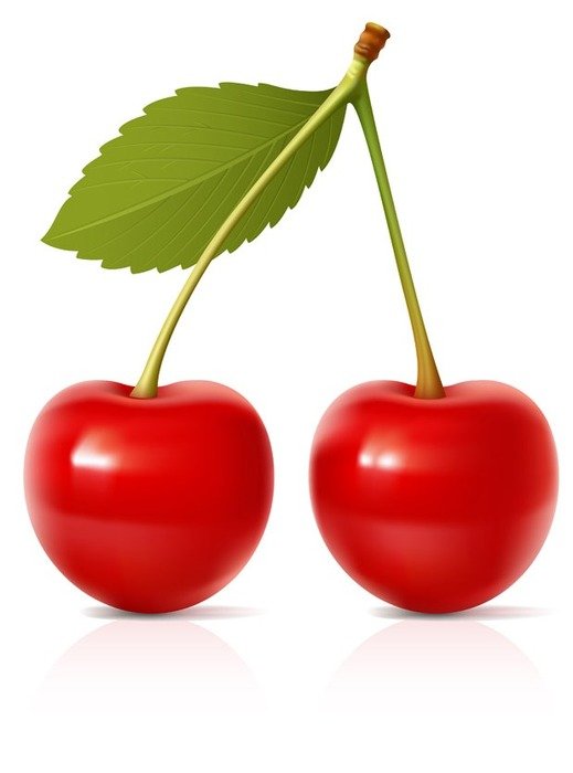 cherry frut drawing