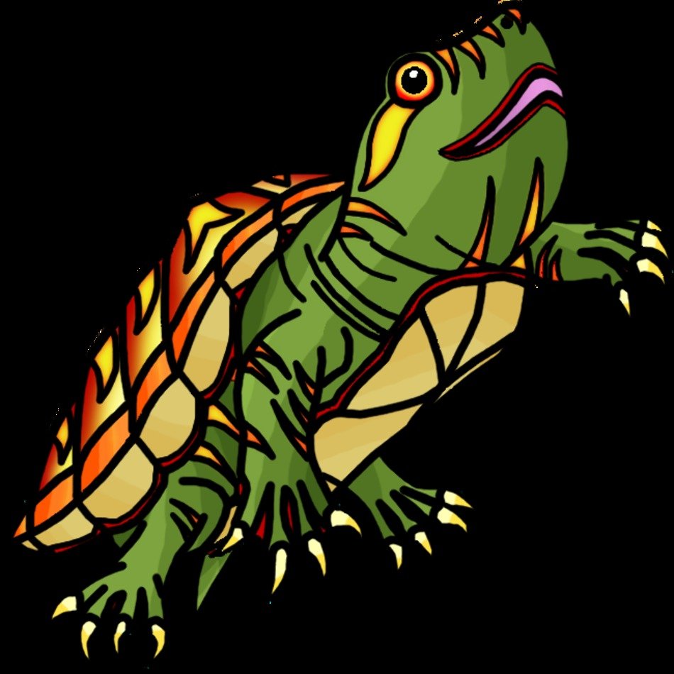 Turtle Shell Clip Art N2