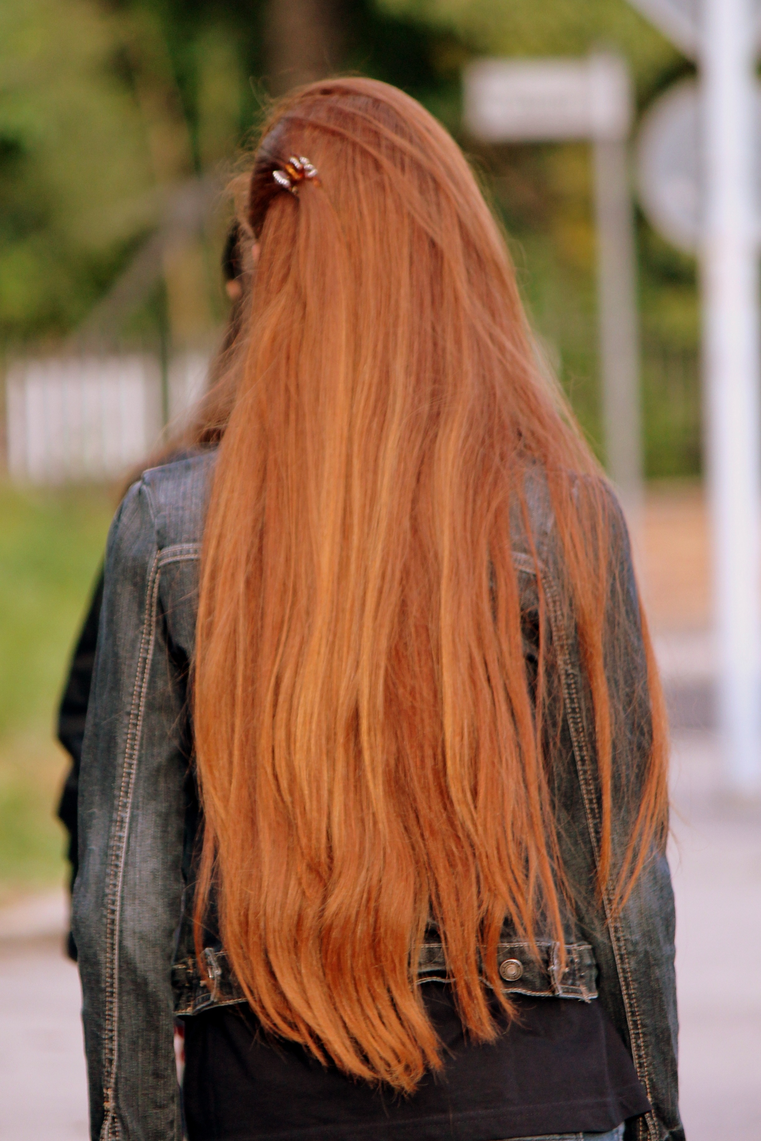 Girl With Long Beautiful Hair Back View Free Image Download 6042