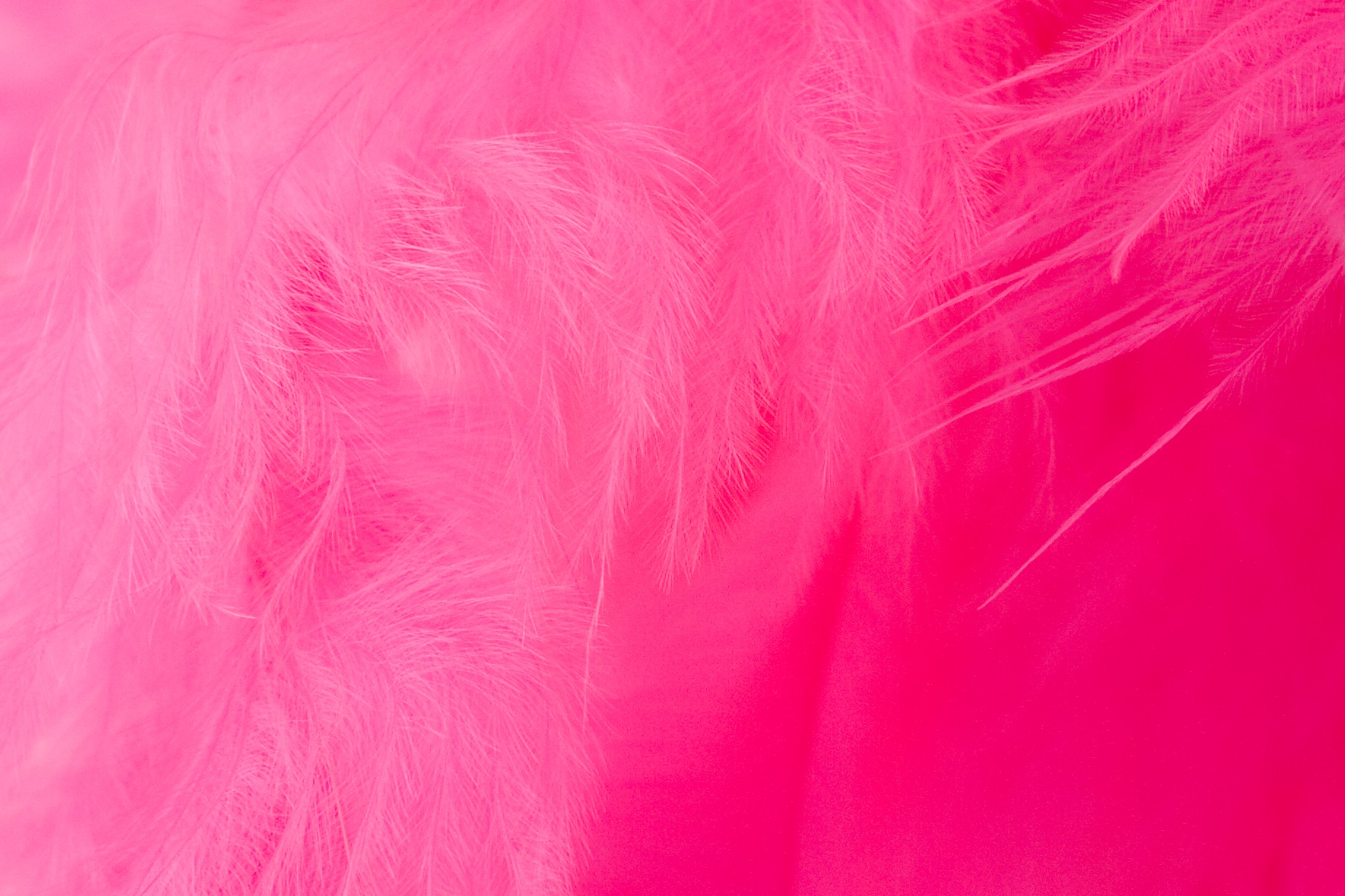 Pink World Hairy