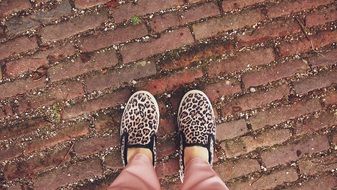 leopard slip-on sneakers