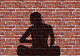 silhouette of a girl on a brick wall