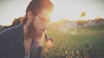 man glasses hipster beard adult