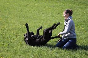 Friendship between girl and doggy