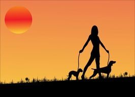 woman walking with dogs at sunset