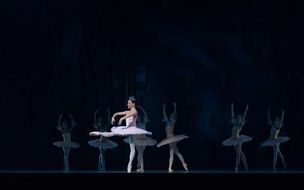 classic ballet performance