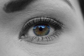 attractive beautiful eye look