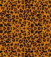 eopard skin pattern