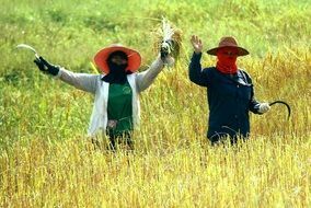 farm women on the field in Thailand