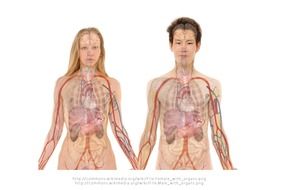anatomy of a pair