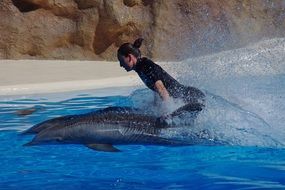 Photo of woman and dolphins