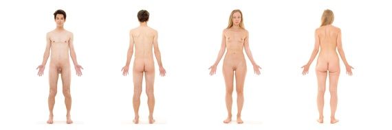 human anatomy female male naked bodies