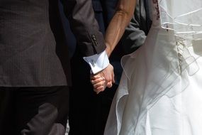 getting married couple is holding hands