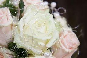 pink and white roses in a bouquet