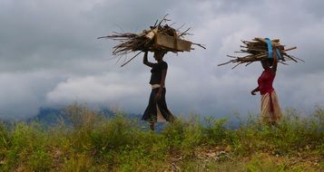 women are holding woods, uganda