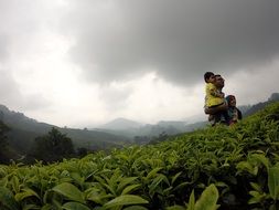 family tea plantation