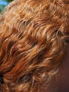 hair the color of red copper