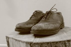 antique wingtip shoes on a wood stump