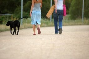 dog walking with woman