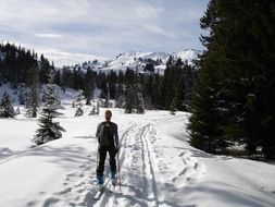 Woman on skis on a background of winter nature