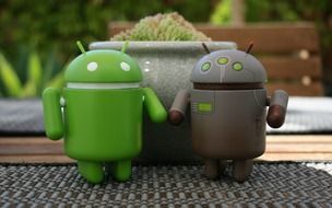 android toy couple